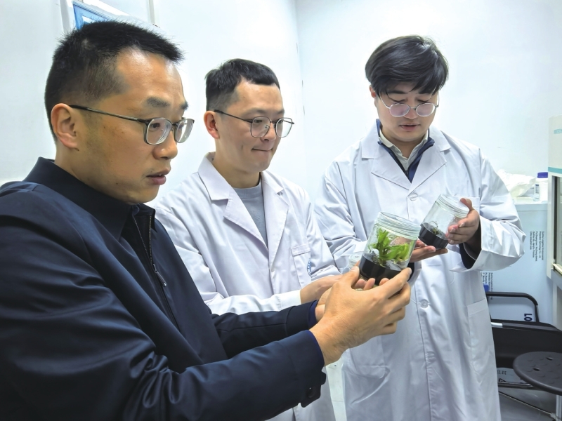 �Ź��� ���Ǹ��ܷ�չ �԰��ػ�����