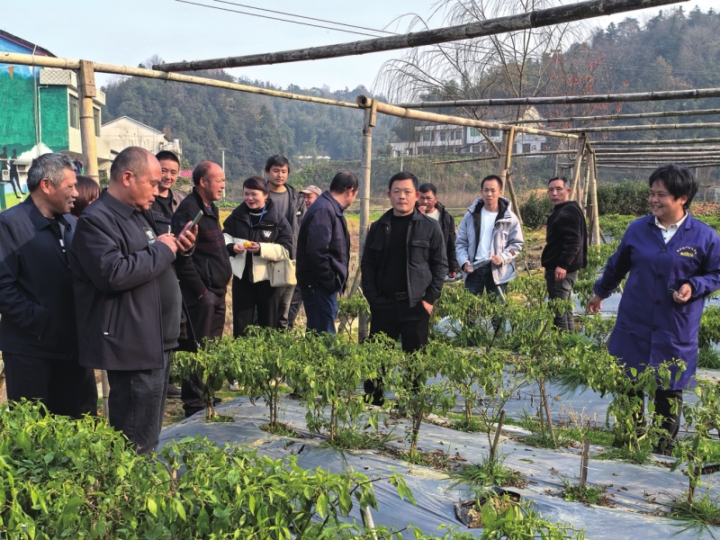 ������ �Գ��ļ�ʹ�� ��ʵ�������