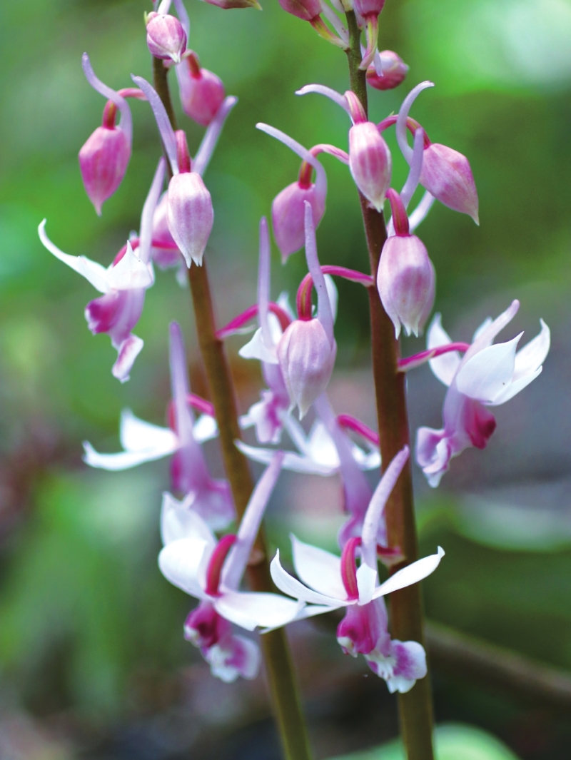 �̾�Ϻ������