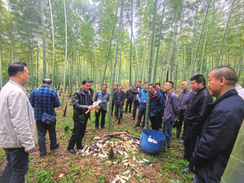 竹农围在一起观摩学习。