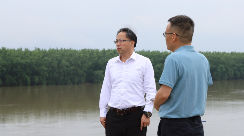 市委书记向世聪在南县南汉垸武圣宫镇马泗脑堤段暗访防汛备汛工作。